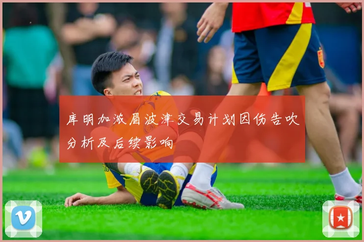 库明加浓眉波津交易计划因伤告吹分析及后续影响